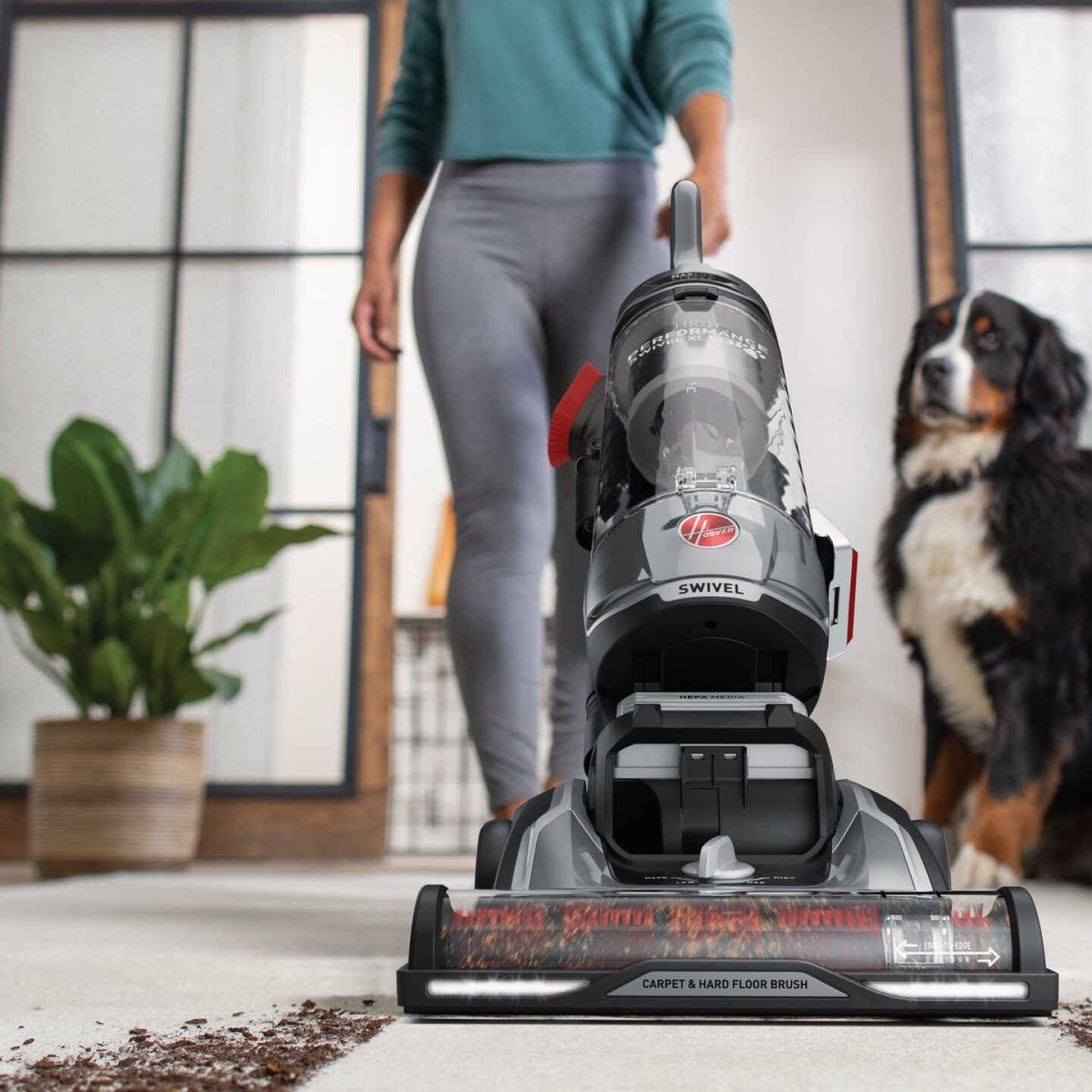 Gray upright vacuum cleaner with swivel head cleaning pet hair from carpet in home setting with dog nearby