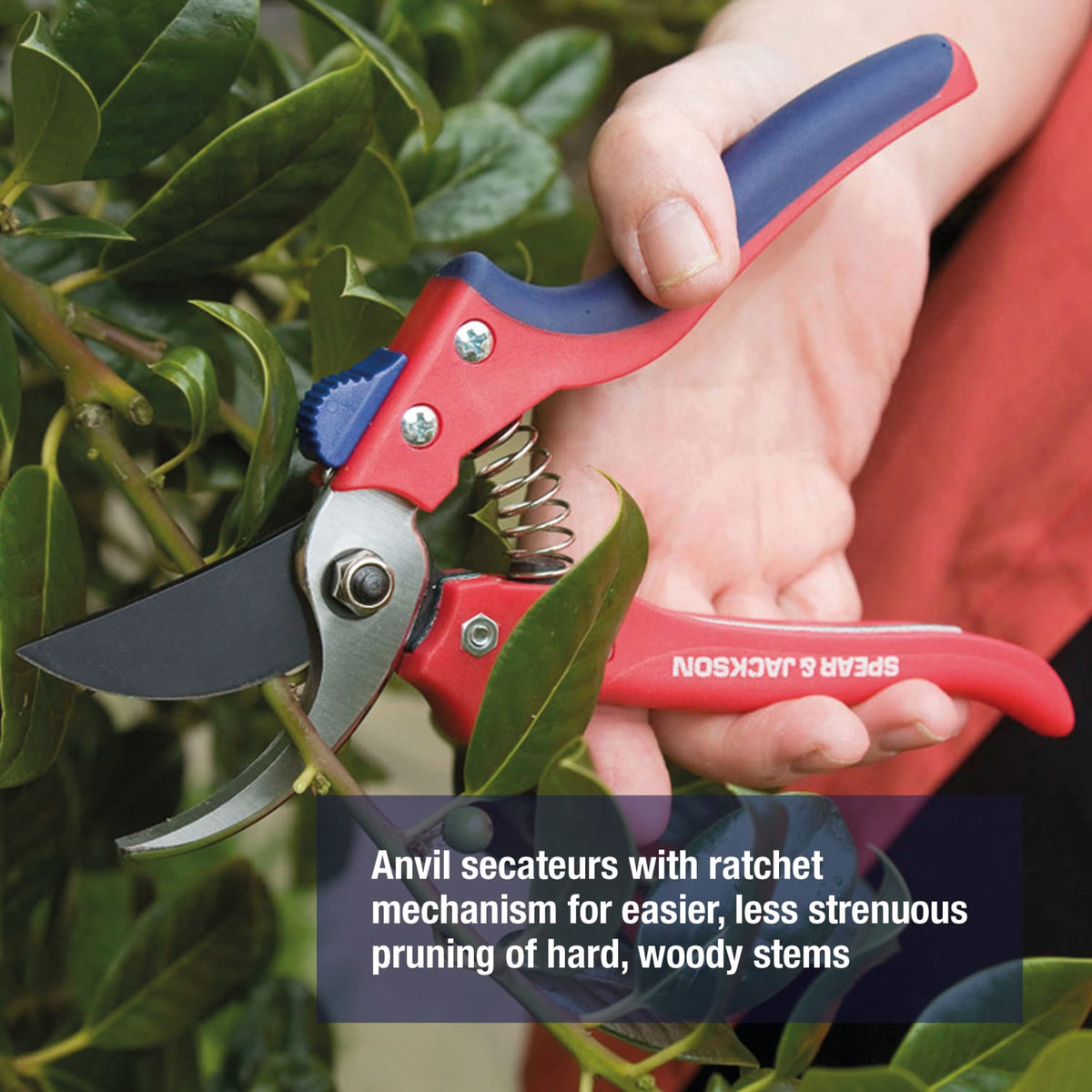 Spear & Jackson Razorsharp Advantage Bypass Secateurs