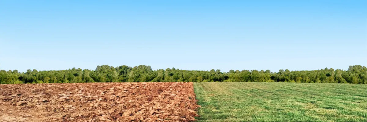 Wide landscape view showing a clear blue sky above a large field divided between freshly tilled soil and lush green grass with a tree line in the distance.
