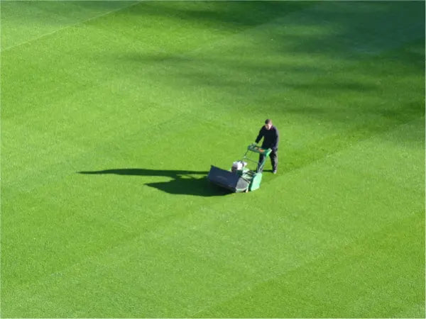 Person pushing a lawn mower evenly cutting a bright green, well-maintained grassy area under sunlight with soft shadows.