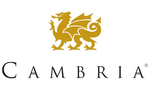 Stylized golden dragon emblem positioned above the word Cambria in an elegant serif font on a white background.