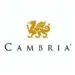 Gold dragon emblem positioned above the word Cambria in uppercase serif font on a white background.