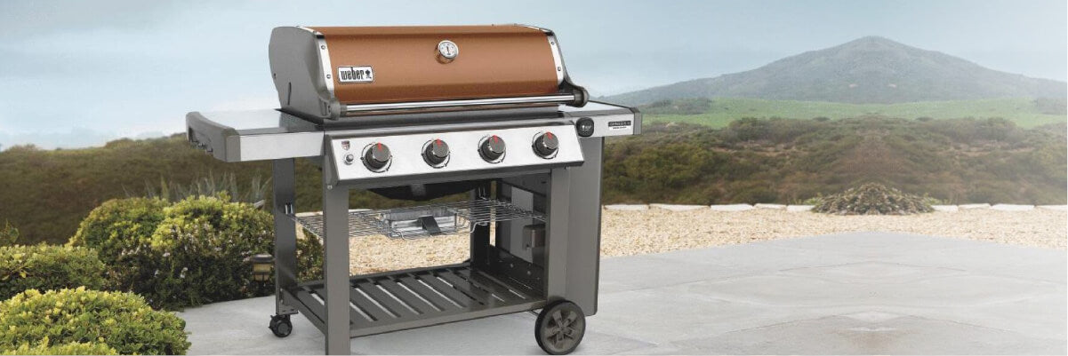 Outdoor stainless steel gas grill with four control knobs and side shelves, set on a concrete patio overlooking a green landscape and distant hills.