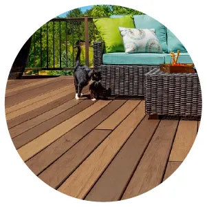 Outdoor seating area with woven dark brown furniture, colorful cushions, and a small black and white cat on a wooden deck surrounded by greenery.