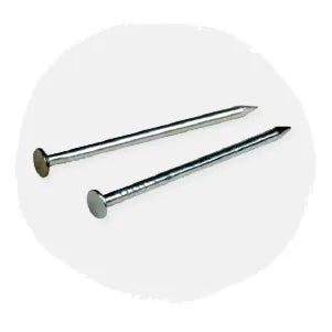 Two silver metal nails with flat heads and pointed tips displayed on a neutral light background suitable for home improvement and tools.