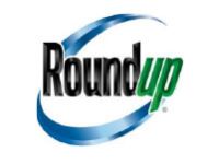 Stylized logo featuring the word 