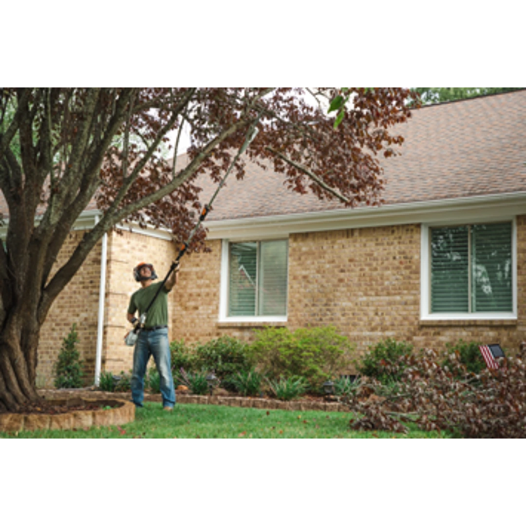 Man using battery-powered pole pruner to trim branches from tree outside home in yard with green grass