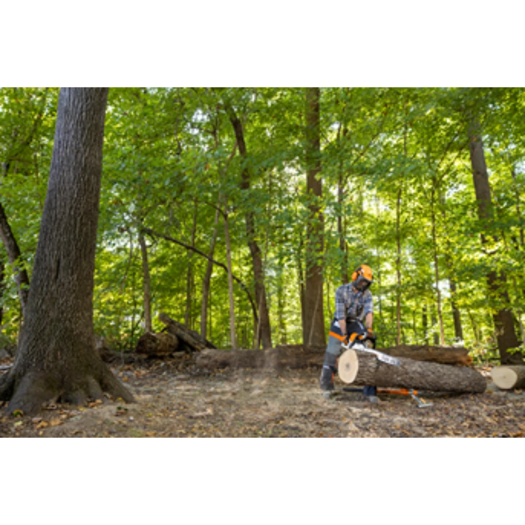 Person wearing protective gear cutting thick log with 20-inch gas-powered chainsaw in wooded area