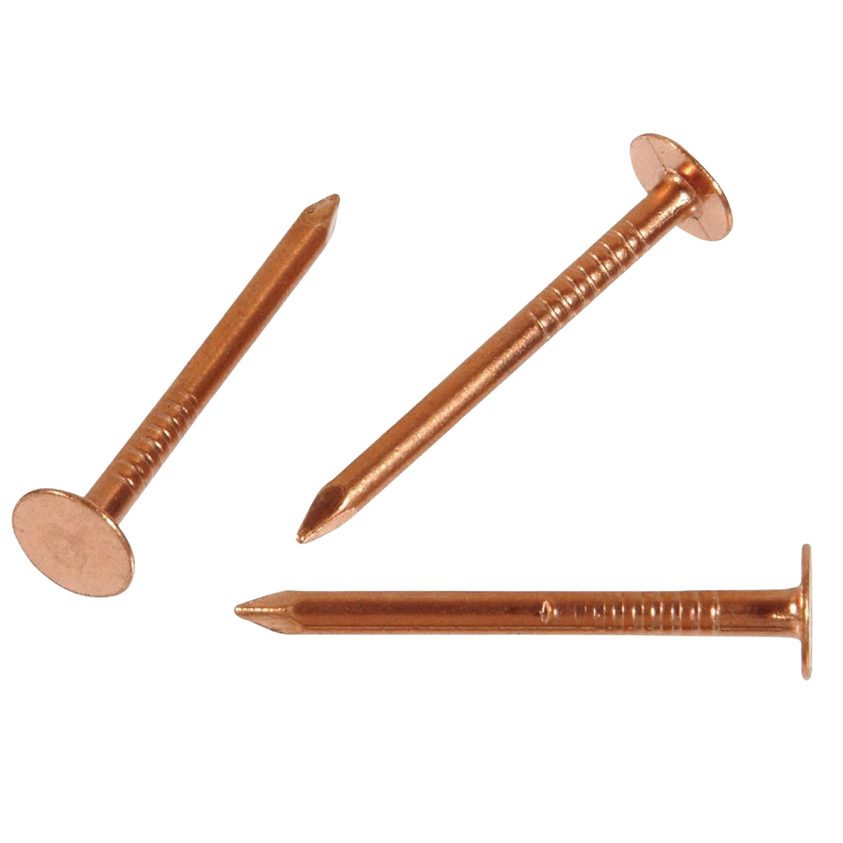 Three copper slate specialty nails with flat heads for hardware and fasteners in home improvement tools collection