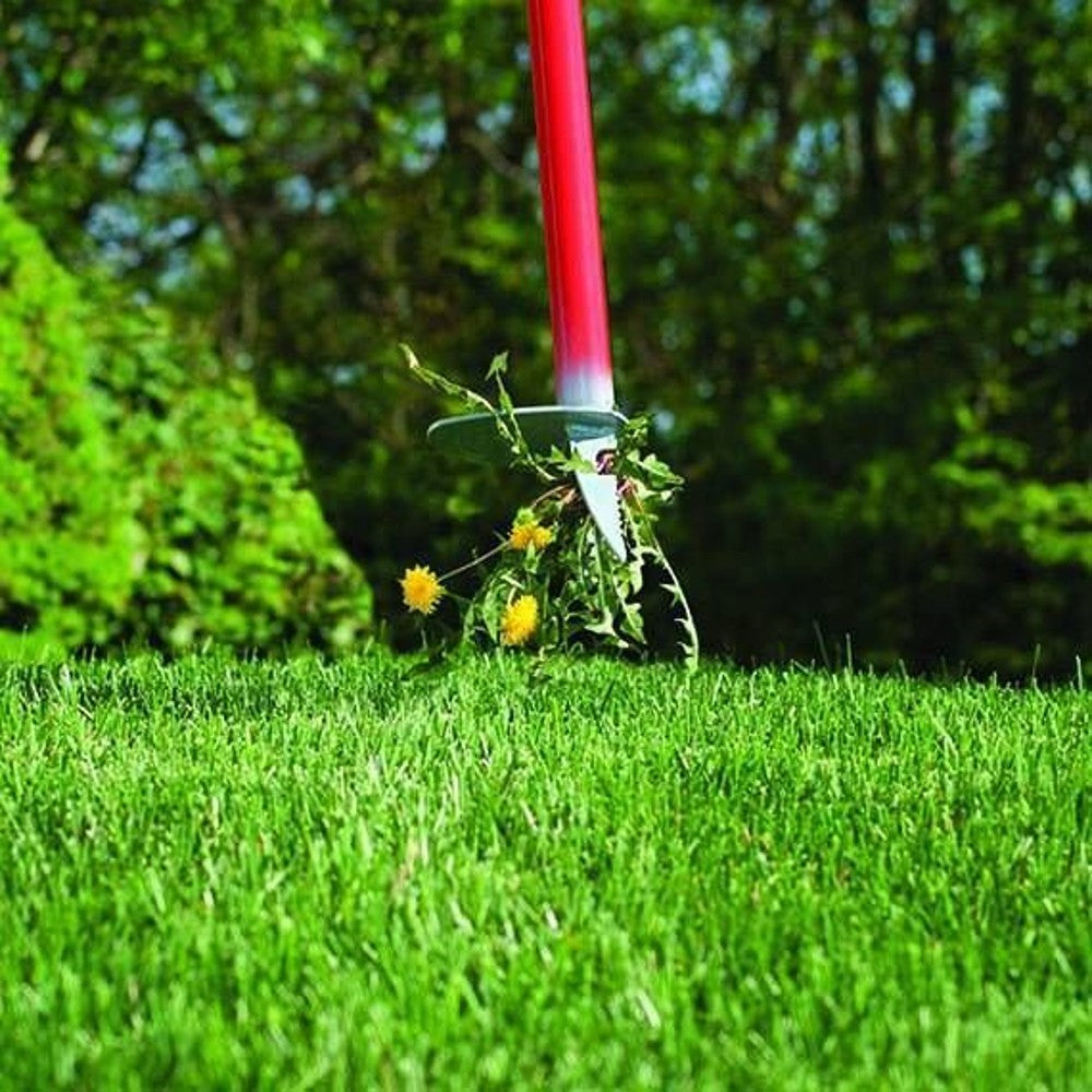 Red-handled weed removal tool uprooting dandelions in green lawn for home improvement and gardening use