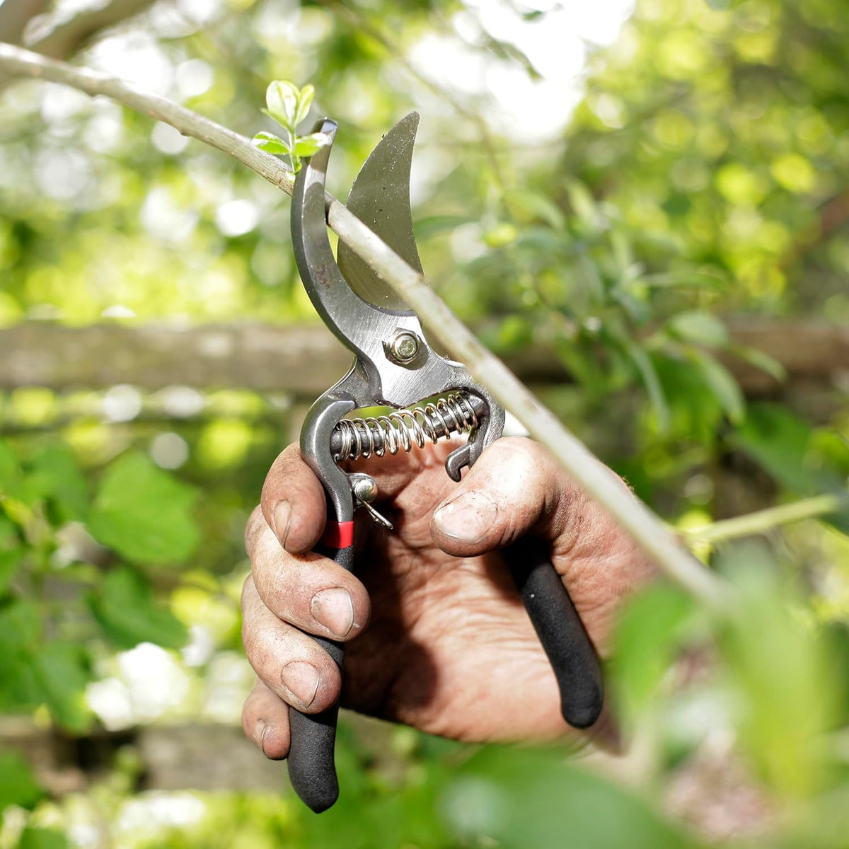 Spear & Jackson Drop-Forged Bypass & Anvil Pruners Set