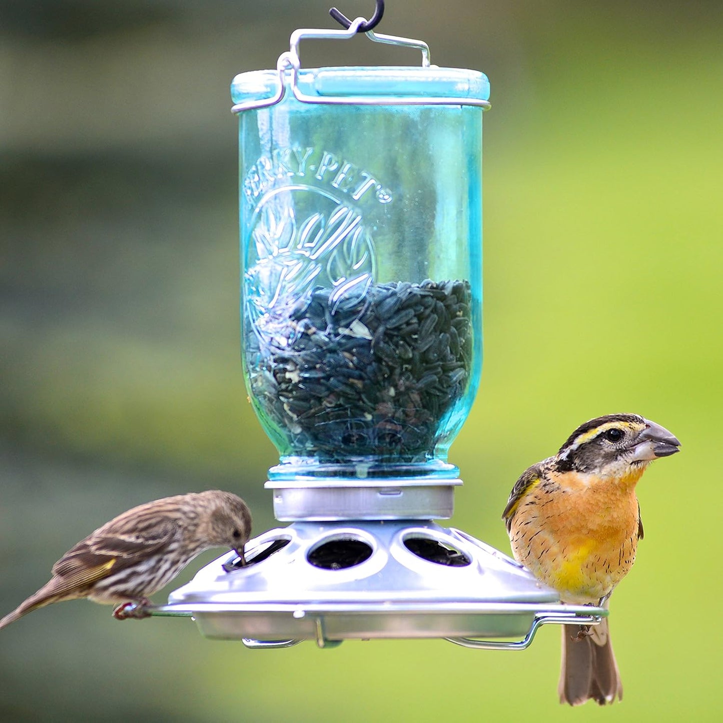 Perky-Pet Mason Blue Glass Mason Jar Bird Feeder, 8 in.