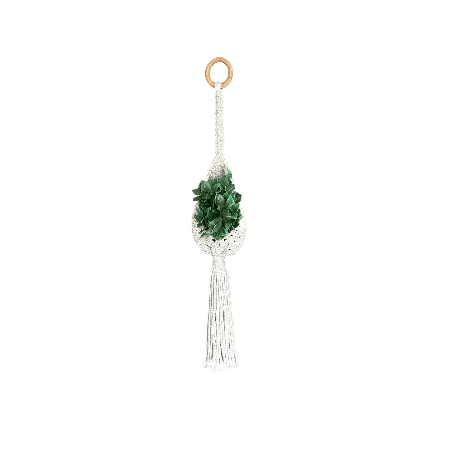White macrame air plant holder with wooden hanging ring and green medium air plant inside for home decor