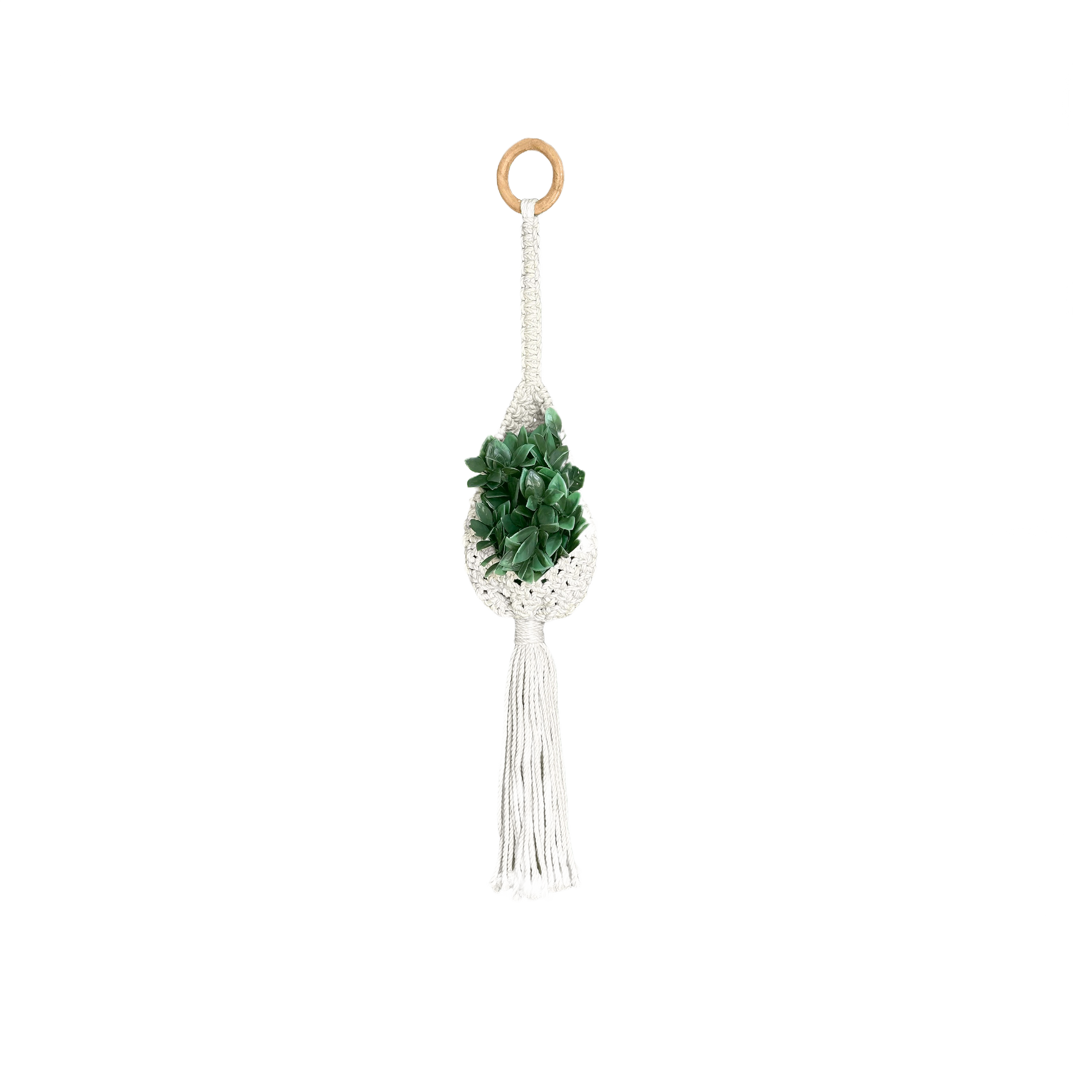 White macrame air plant holder with wooden hanging ring and green medium air plant inside for home decor