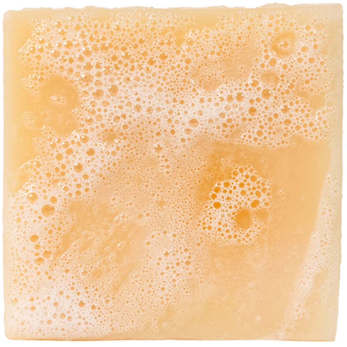 Light tan foaming bar soap with creamy lather designed for an invigorating and fresh cleansing experience