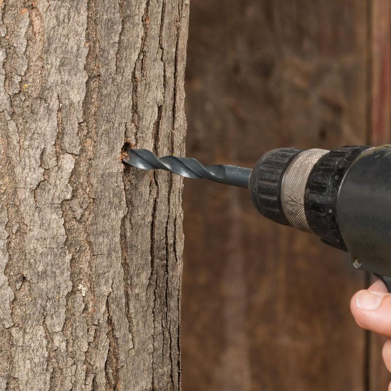 Close-up of a drill bit boring into tree bark, demonstrating tool use for home improvement projects