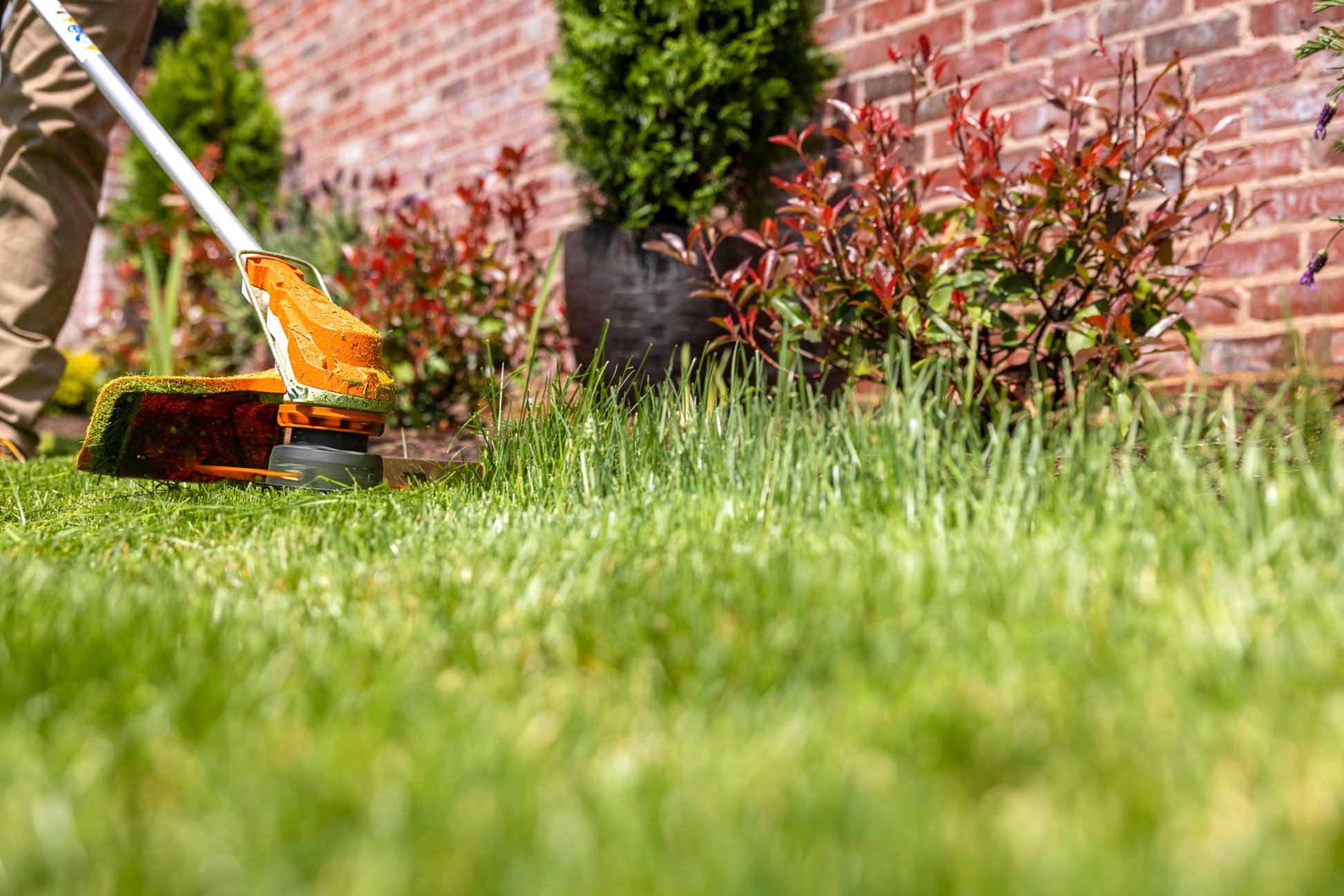 Orange and white battery-powered trimmer cutting grass along a garden bed with brick wall and plants nearby