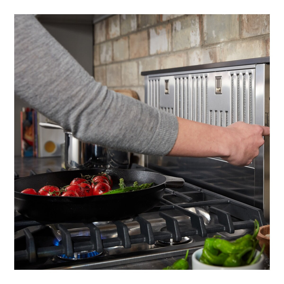 30" Retractable Downdraft Ventilation System