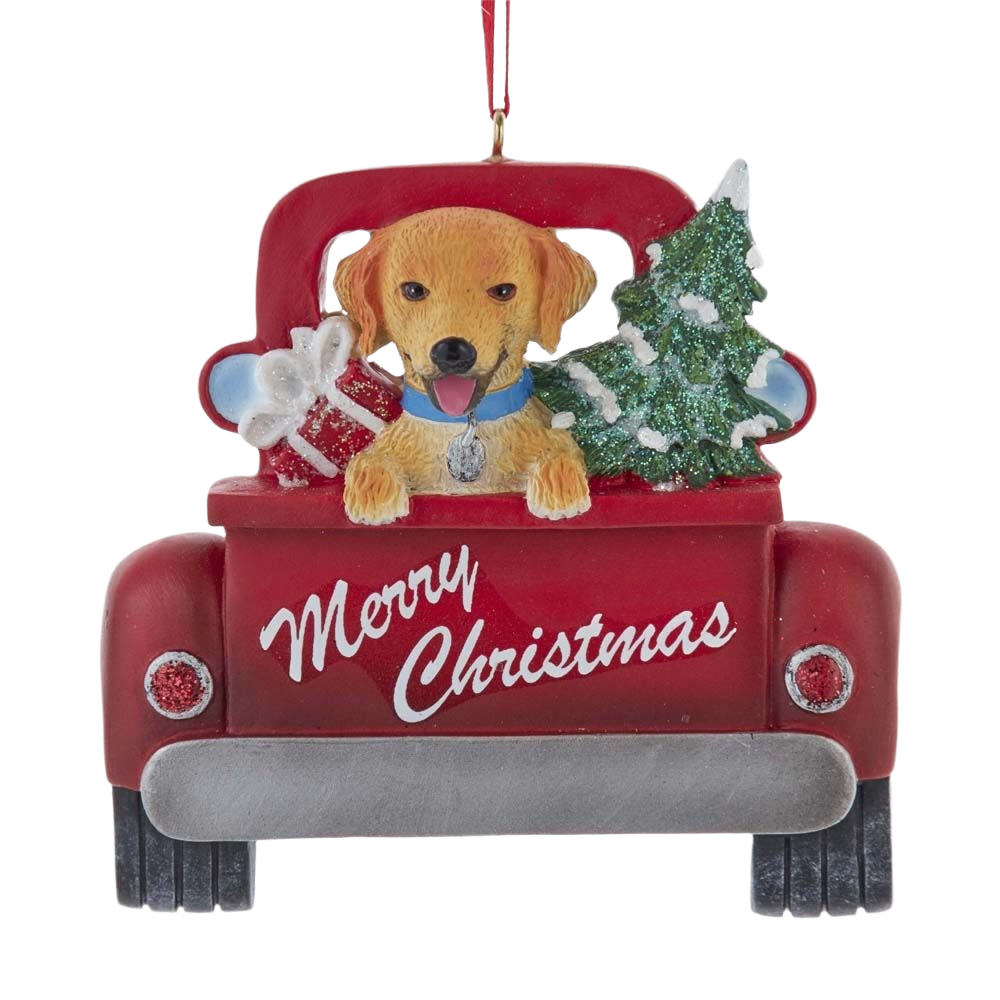Golden Retriever dog with blue collar in the bed of a red truck carrying a Christmas tree and wrapped gift ornament