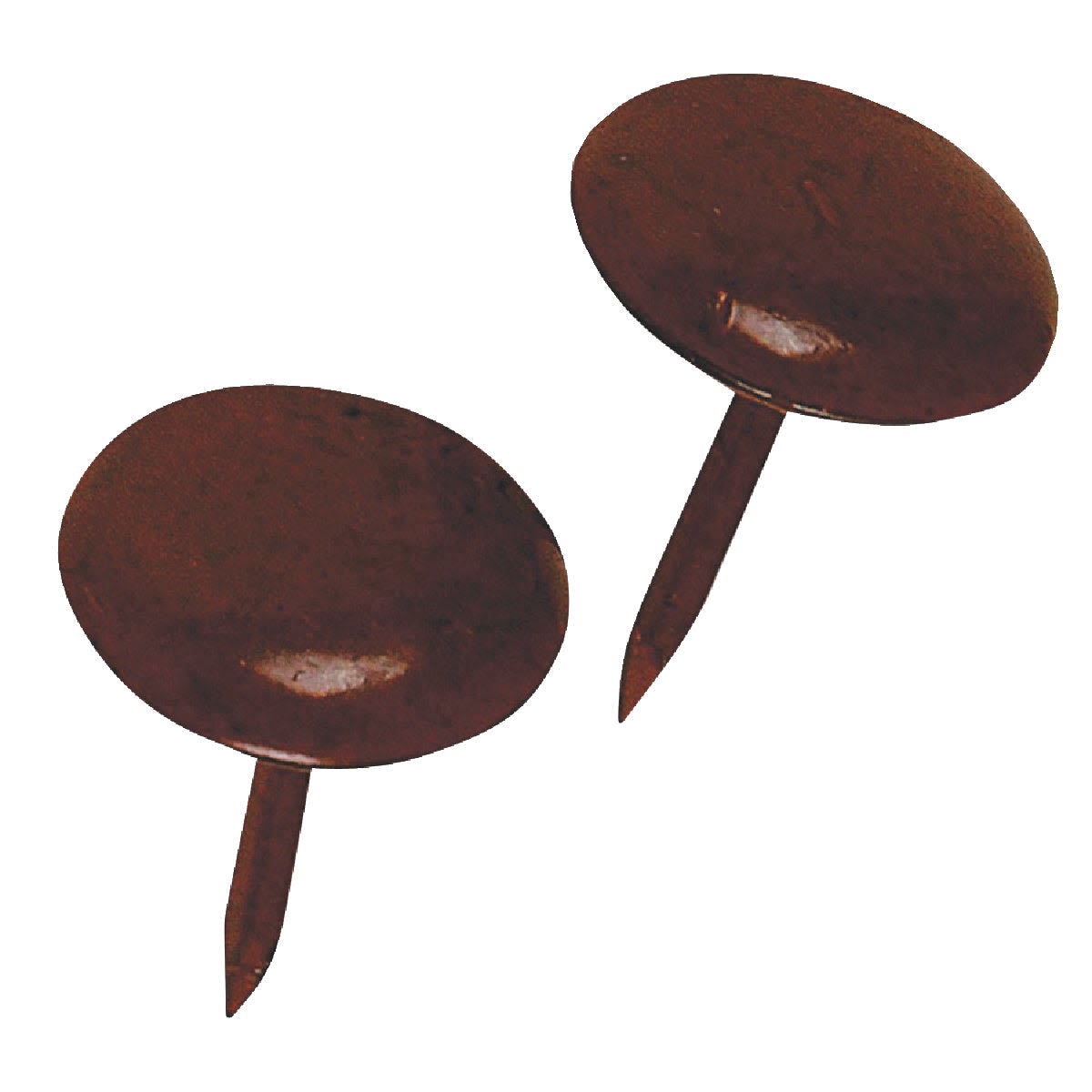 Large round brown furniture nails with flat heads designed for home improvement and woodworking use