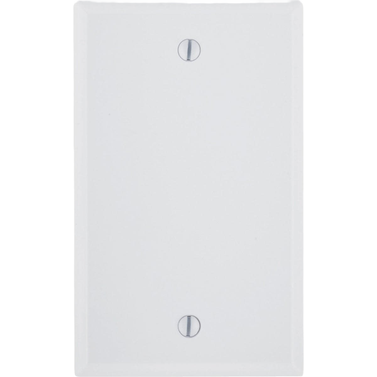 White thermoset blank wall plate with two screw holes for covering 1-gang electrical boxes in home improvement projects