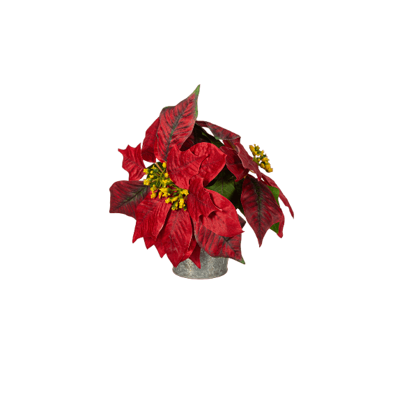 Red multi-poinsettia arrangement with green leaves in a rustic galvanized metal planter for seasonal decor use