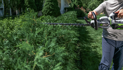 Person trimming tall hedge with green and black battery powered 26 inch EGO hedge trimmer tool outdoors