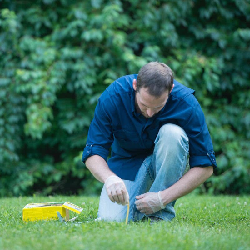 Man kneeling on grass applying pest control bait from a yellow box in lawn and garden under $50 collections