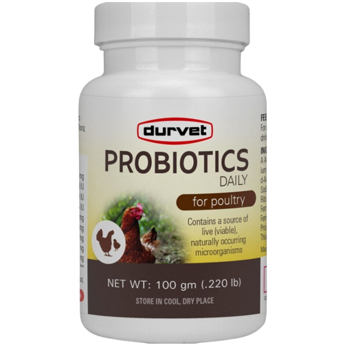 White plastic bottle of Durvet probiotic supplement labeled for daily use in poultry with natural microorganisms description