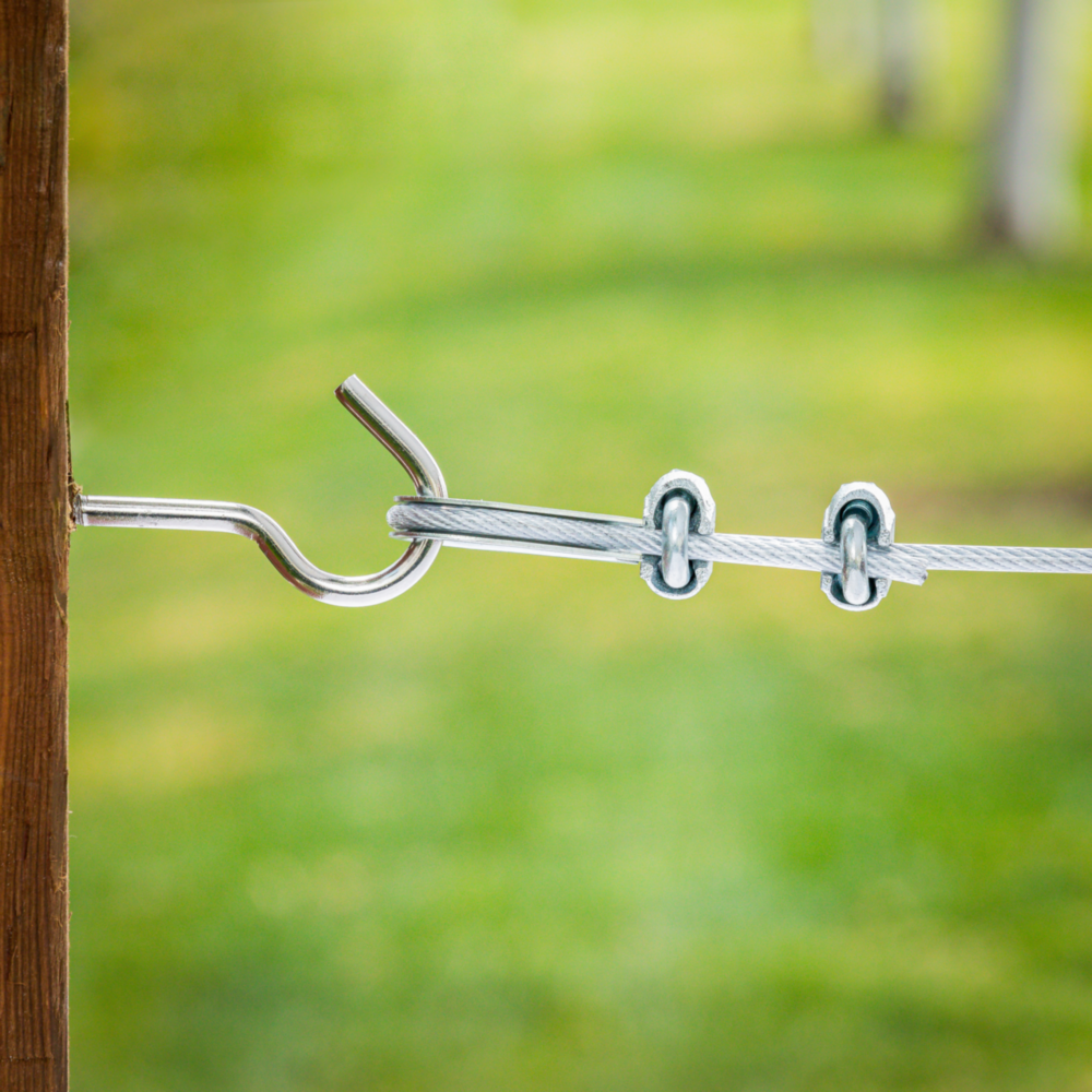 Stainless steel screw hook securing wire rope with two wire rope clips for hardware and home improvement projects under $50