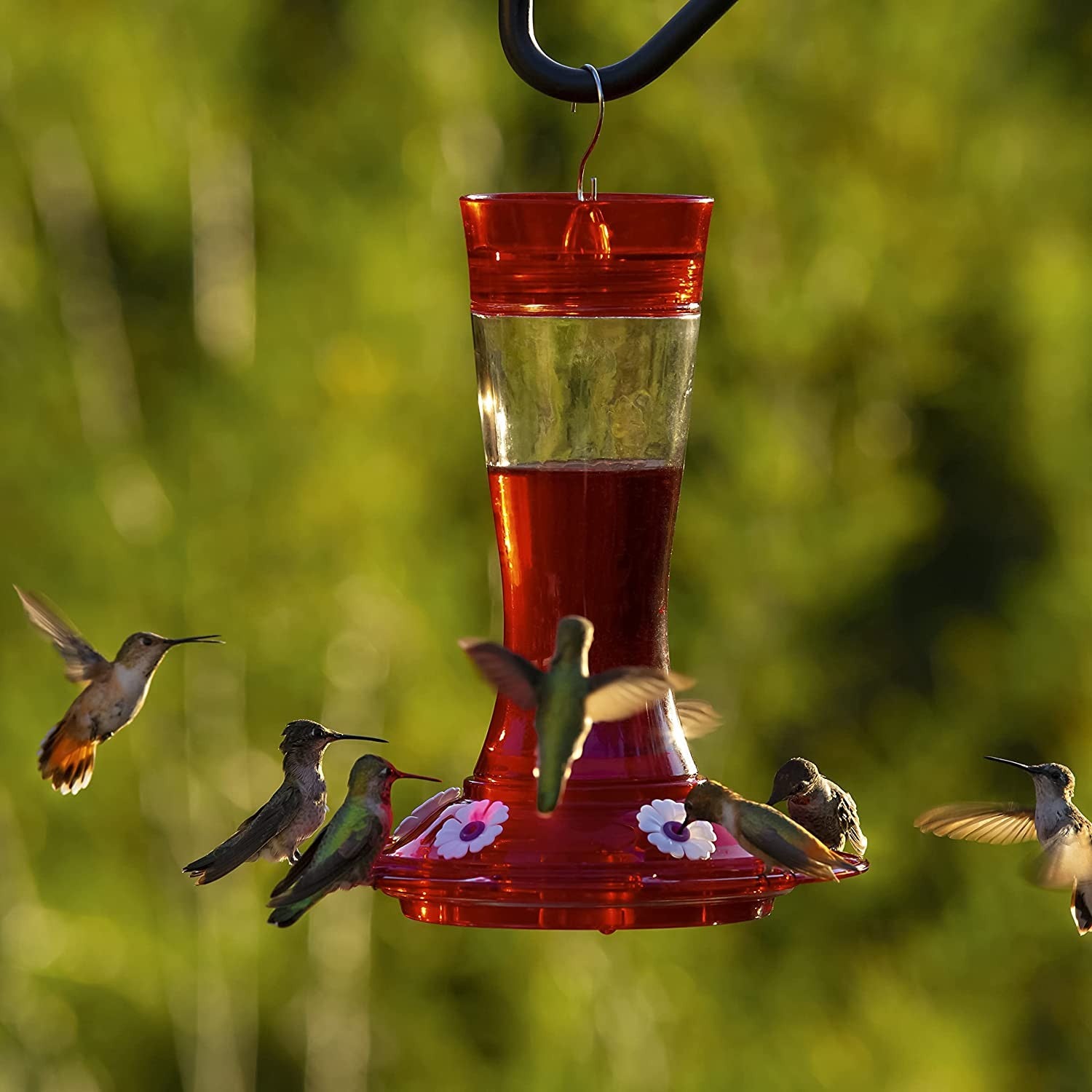 Garnet glass hummingbird feeder with seven flower ports attracting multiple hummingbirds in outdoor living and wildlife supplies