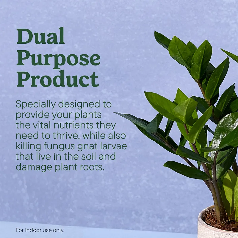 Miracle-Gro Plant Care Gnat Control + Plant Food