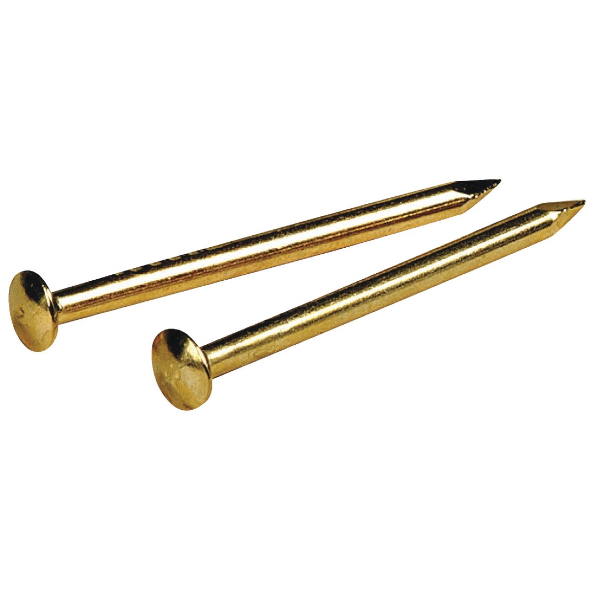 Two brass-plated steel escutcheon pins with domed heads for hardware, fasteners, and home improvement projects under $25 collections
