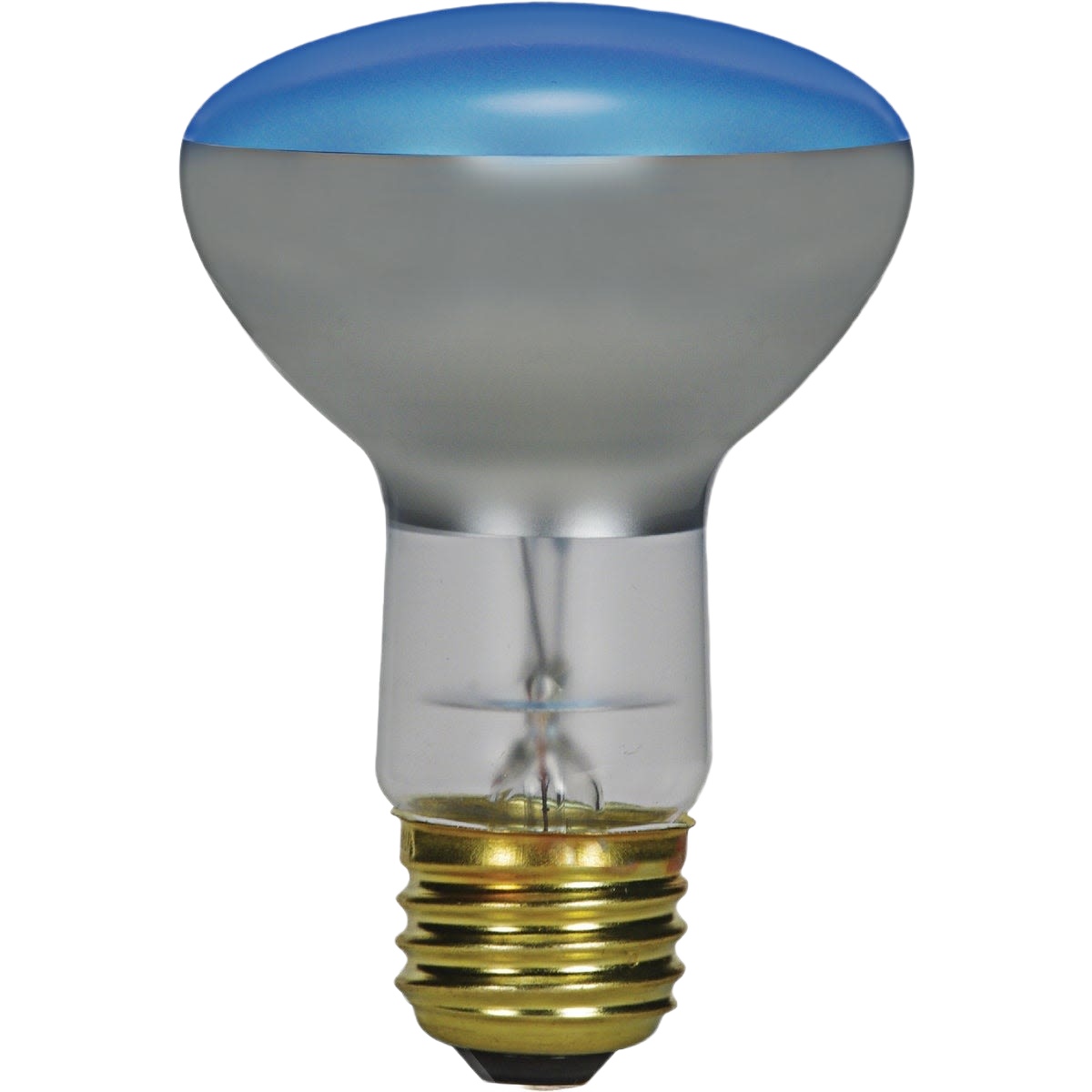 Satco R20 incandescent plant light bulb with blue-tinted glass for indoor gardening lighting and home improvement