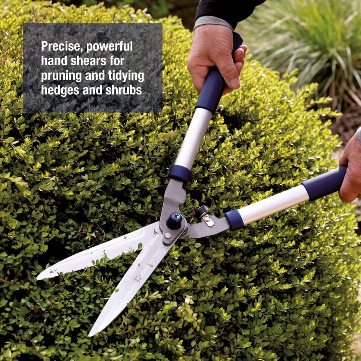 Razorsharp Advantage Hedge Shears