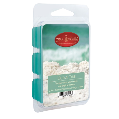 Clamshell pack of ocean-inspired scented wax melts in turquoise, part of home decor and under $25 collection
