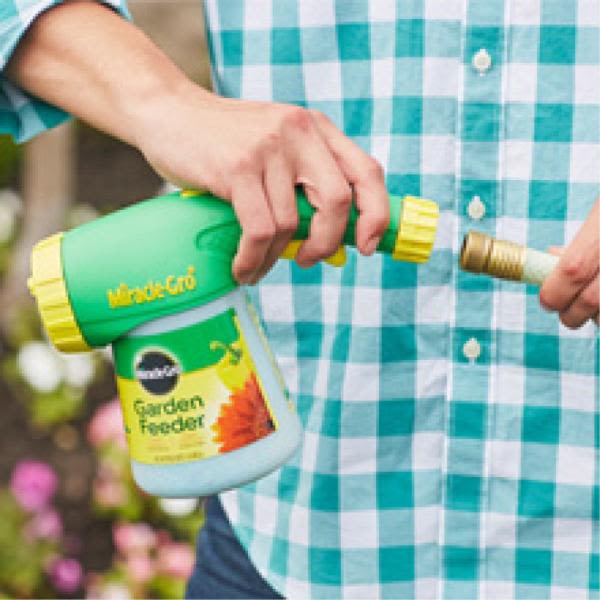 Person attaching a green and yellow Miracle-Gro garden feeder to a garden hose outdoors for plant care