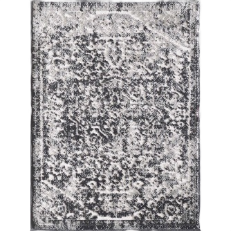 Vintage-inspired faded black and white area rug with intricate floral and geometric patterns for home decor