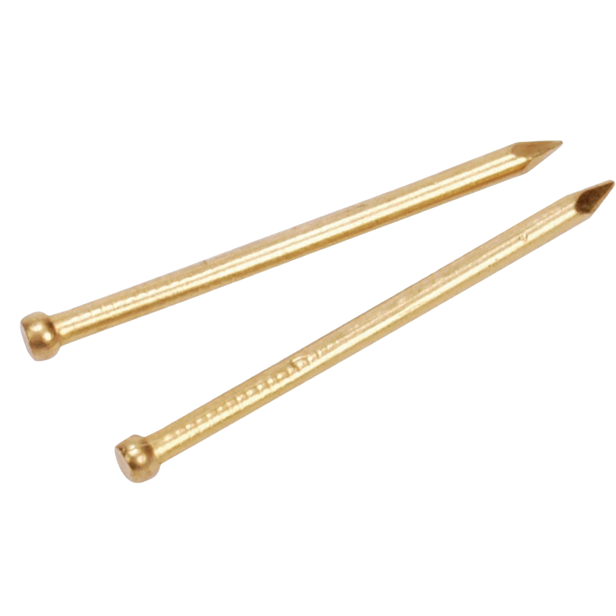 Two brass wire brads with small heads for precise fastening in hardware and fasteners collections under $25