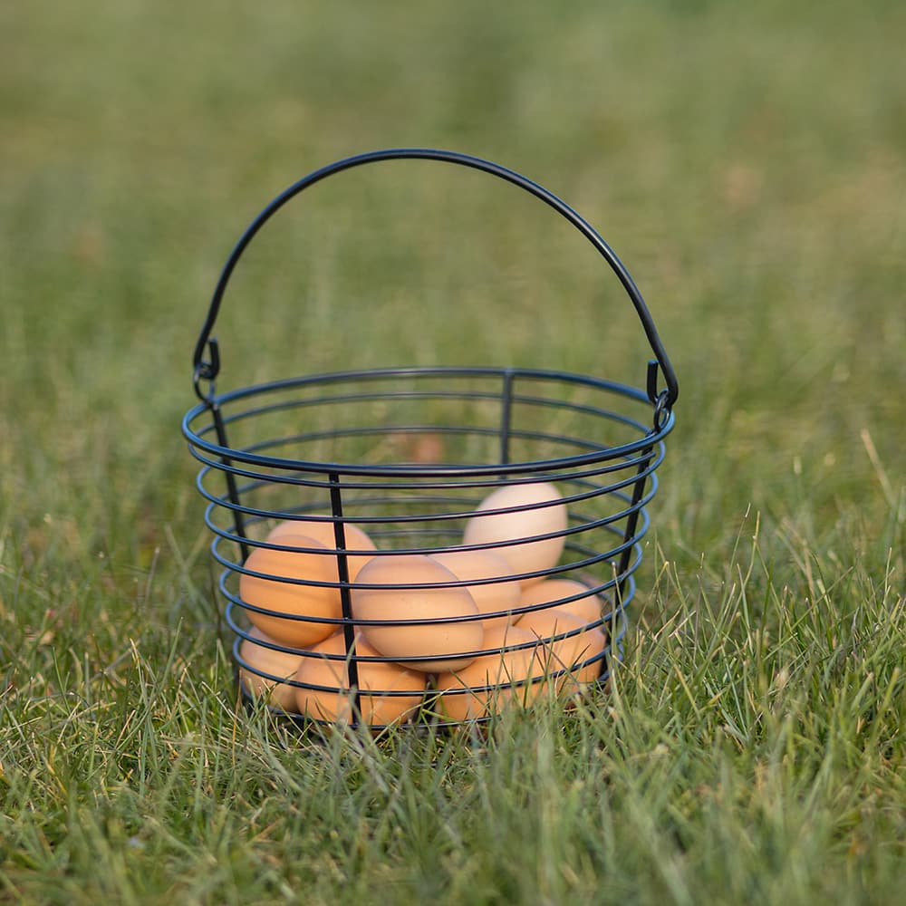 Small black wire basket with handle holding fresh eggs, ideal for home improvement and kitchen tasks
