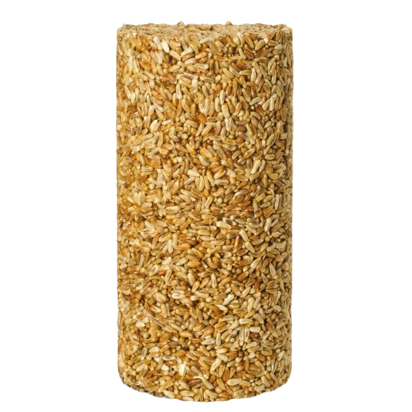 Cylinder of tightly packed golden safflower seeds designed as a small bird feeding treat for wild birds