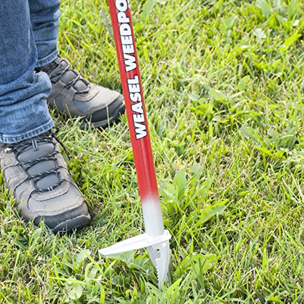 Red and white long-handled weed remover inserted into ground among green grass for home improvement tasks