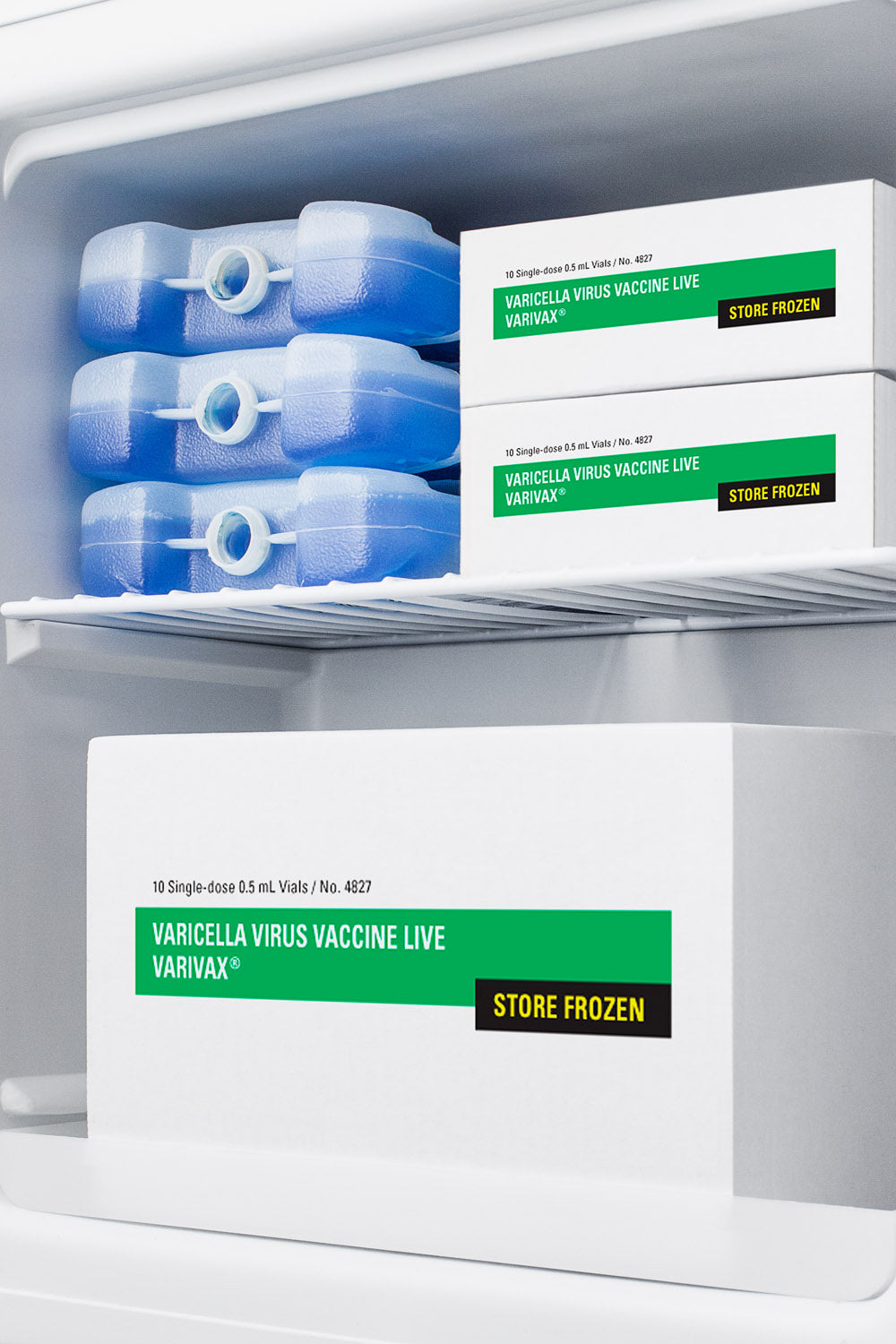 Compact All-Freezer