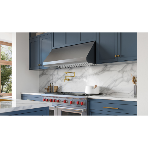 Stainless steel canopy range hood above professional stove with blue cabinetry in modern kitchen appliances collection