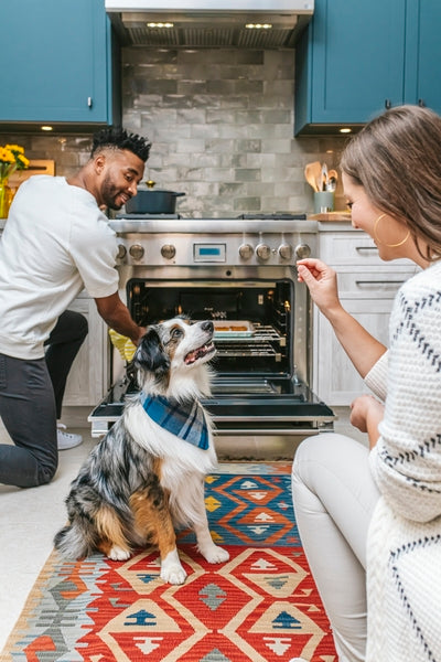 Couple baking together in modern kitchen with stainless steel dual-fuel range and colorful patterned rug, dog nearby