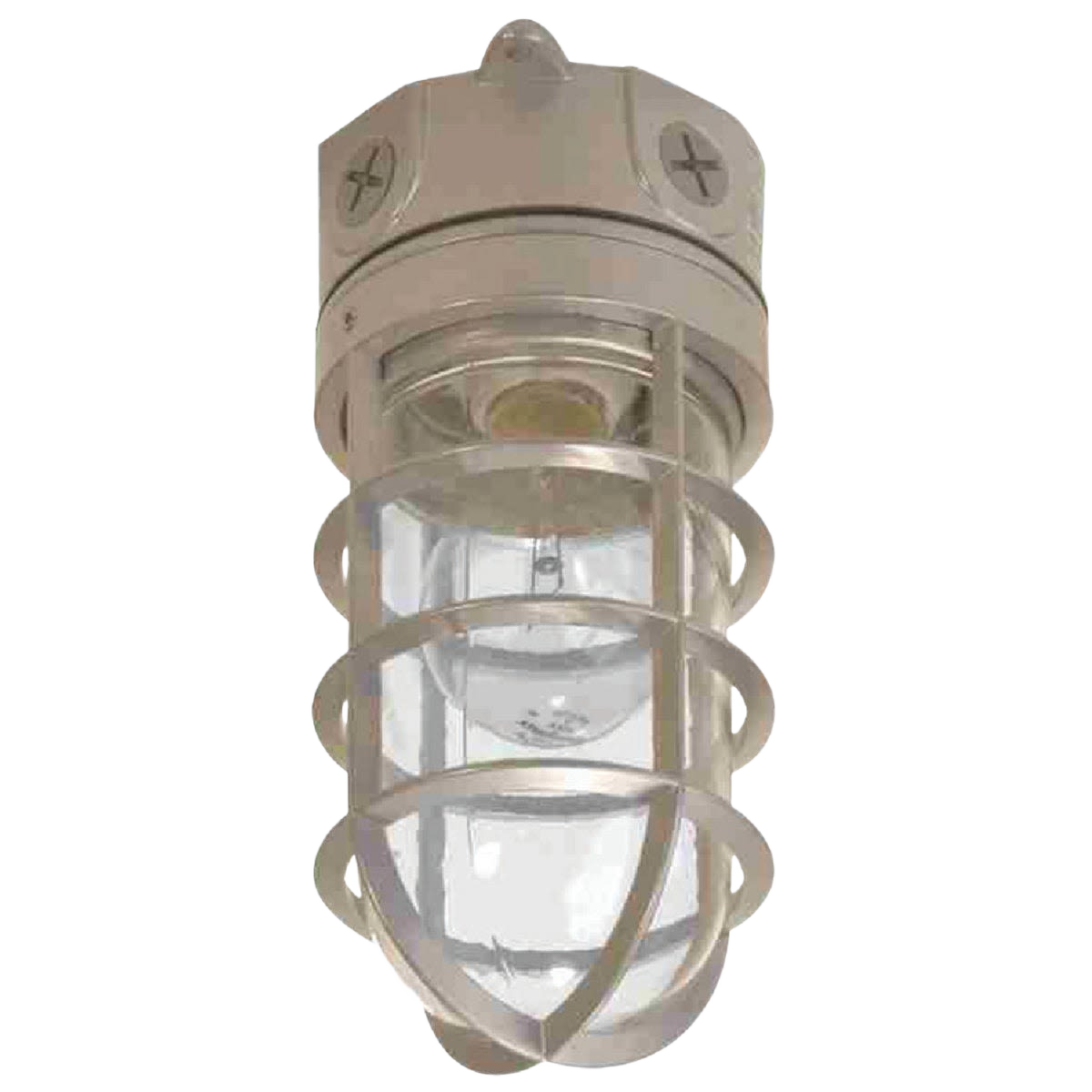 Incandescent barn light fixture with protective metal cage, suitable for indoor and outdoor lighting in home improvement projects