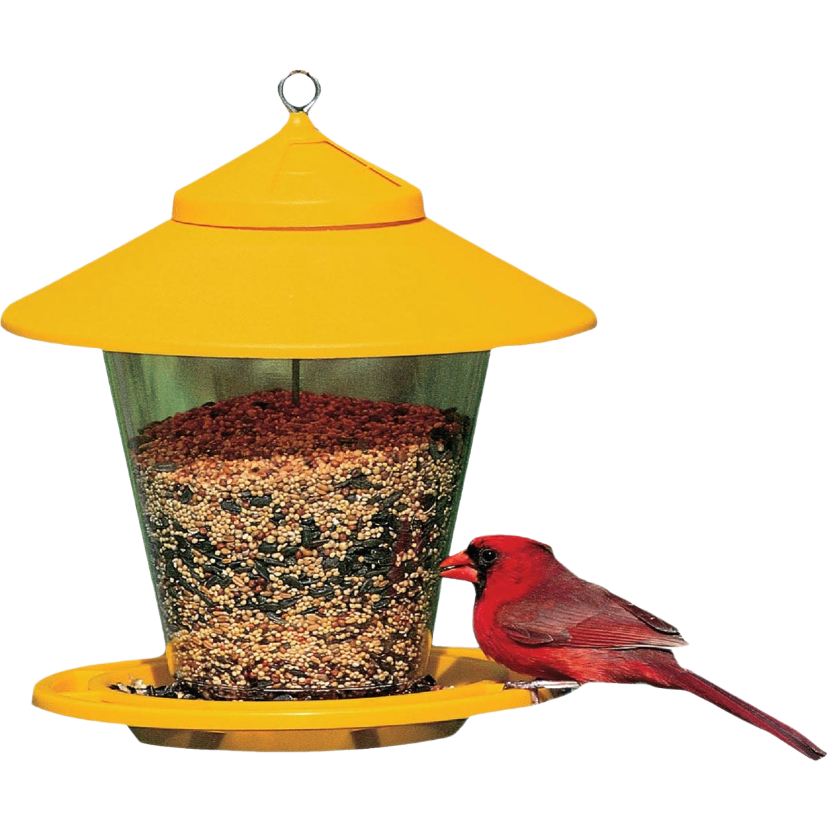 Yellow hopper bird feeder filled with mixed seeds feeding a red cardinal bird outdoors