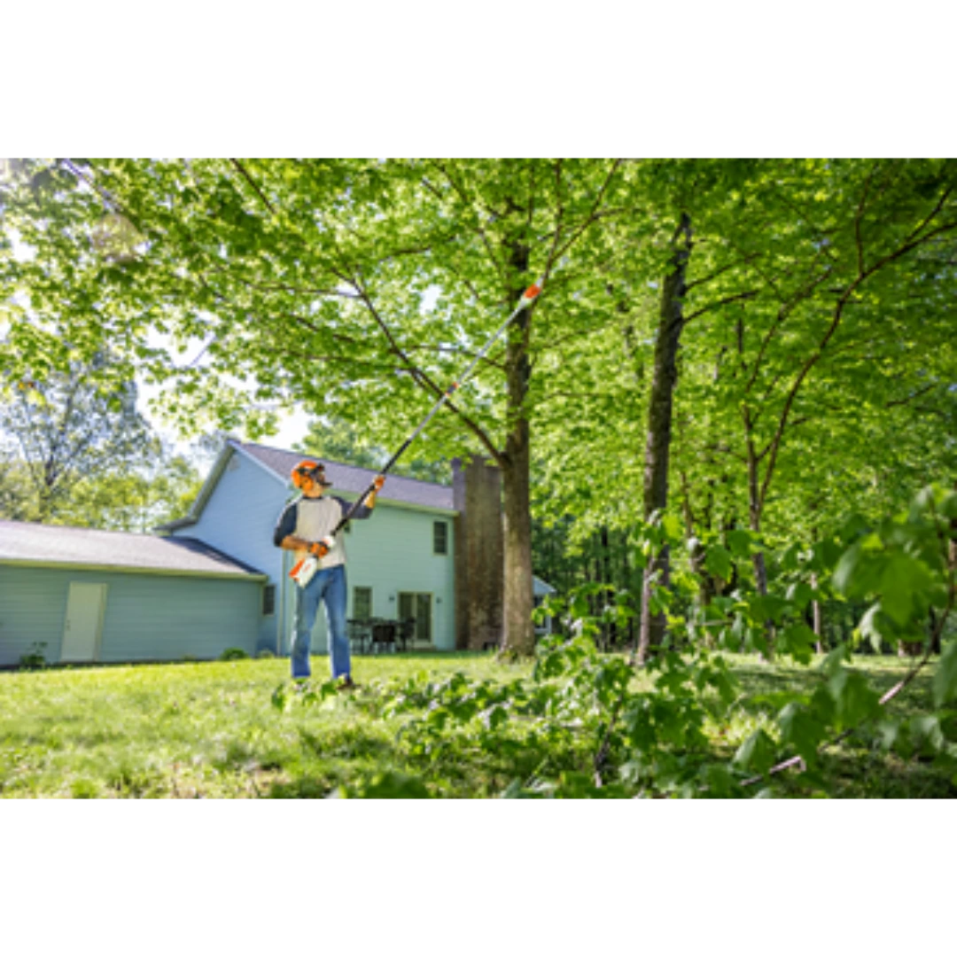 Man using battery-powered pole pruner to trim branches from tall tree near residential home in garden setting