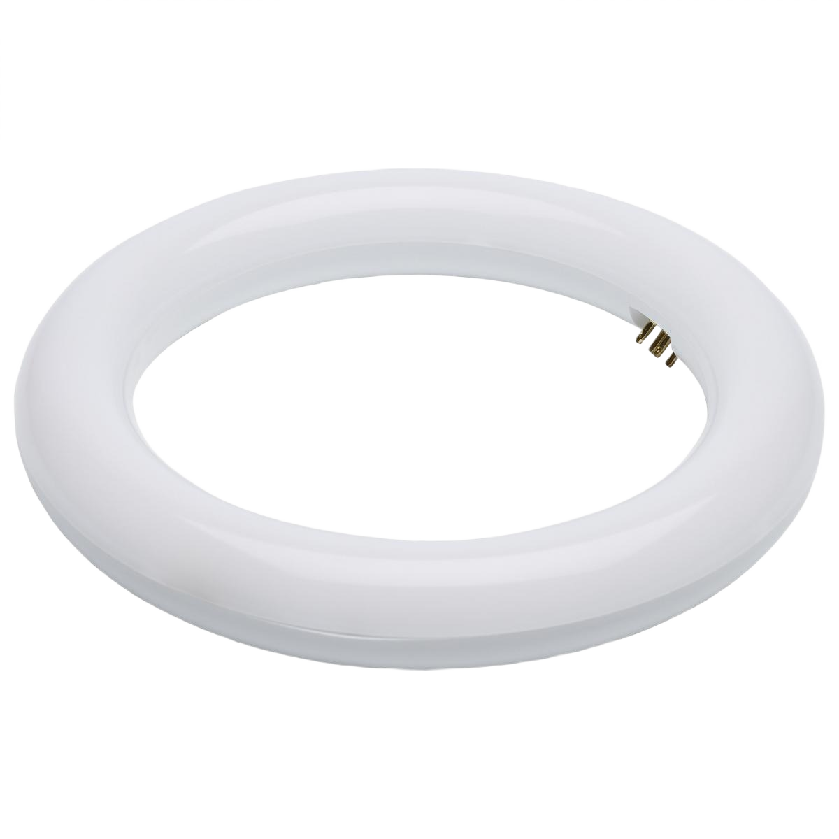 White circular LED circline light bulb with energy-efficient design for lighting and electrical needs under $50 collection