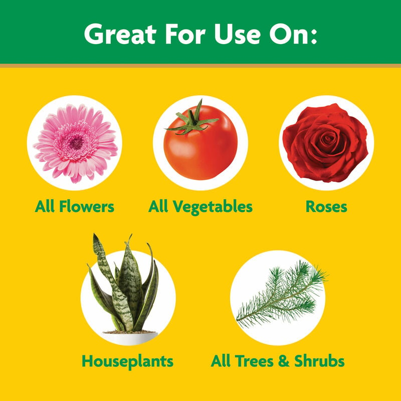 Illustrations of flowers, vegetables, roses, houseplants, trees, and shrubs for plant care recommendations in lawn and garden.